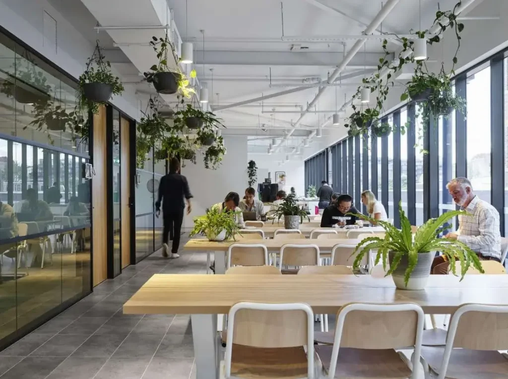 coworking in american metropolis